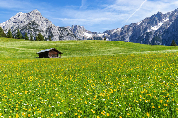 Úžasný pohled na rakouské Alpy a louku nedaleko Walderalmu, Rakouska, Gnadenwaldu, Tyrolska - Fotografie, Obrázek