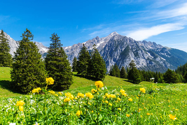 Pintorescos prados y bosques se encuentran entre las altas montañas. Austria, Gnadenwald, Región del Tirol
. - Foto, Imagen
