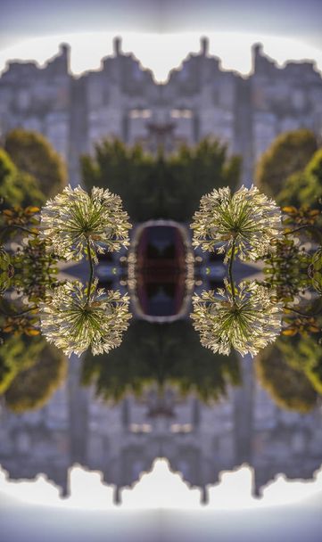 Подвійне відображене подання красивих білих квітів у формі купола в Сан-Франциско Каліфорнії - Фото, зображення