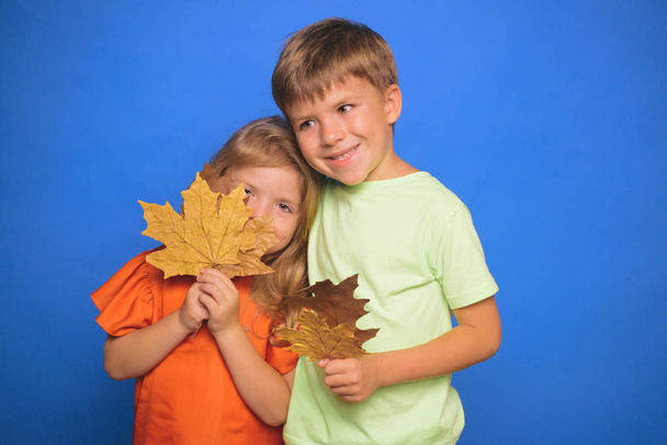 Little children in autumn playing with leaves on autumn colour background. Little boy and girl in seasonal clothes with golden leaf. Cute children holding gold leaf on colour background. - Foto, imagen