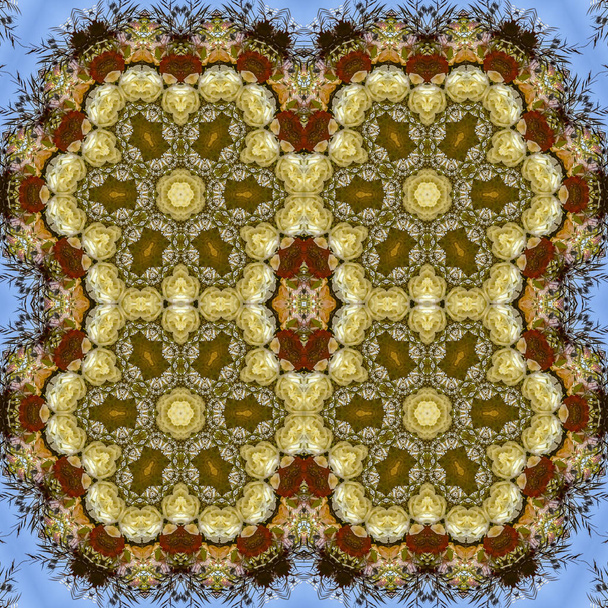 Fleurs hexagonales quadruples en arrangement circulaire au mariage en Californie sur fond bleu
 - Photo, image
