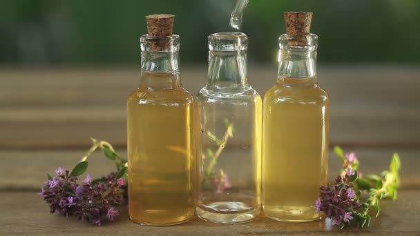 thyme essential oil in  beautiful bottle on table - Footage, Video