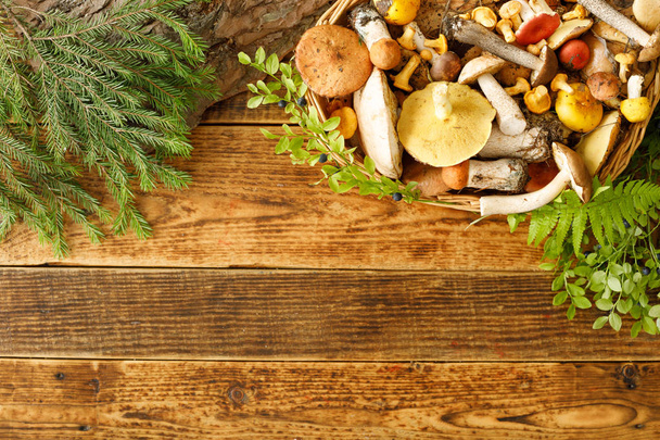 Mushrooms on old wooden background. Card on autumn or summertime - Foto, imagen