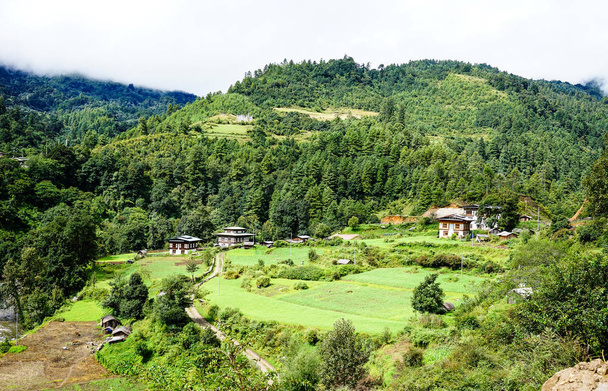 Paisajes de montaña en Bután
  - Foto, Imagen
