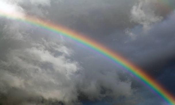 空の虹 - 写真・画像