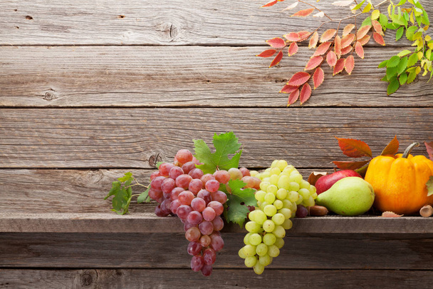 カボチャや果物と秋の静物画 - 写真・画像