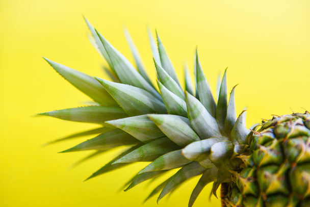 Close up fresh pineapple summer fruit on a yellow  - Фото, изображение
