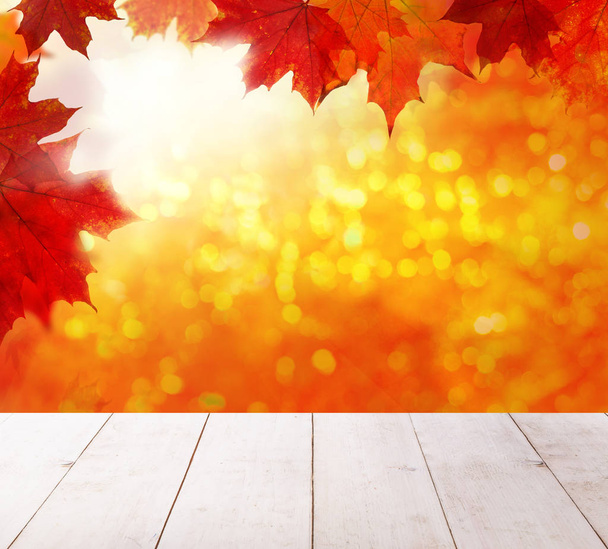 Herbsthintergrund. bunte rote Ahornblätter und abstrakte Sonne - Foto, Bild