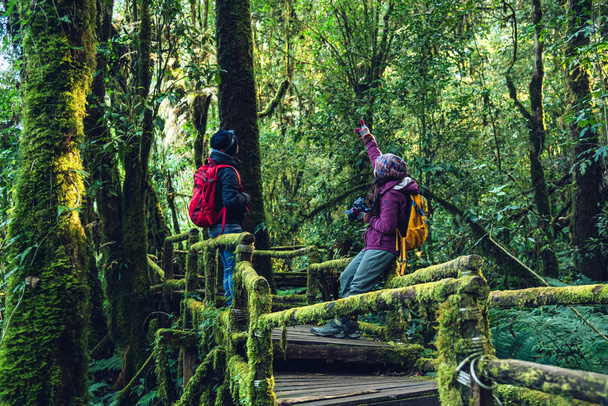 Пари подорожують, відпочивають взимку. ходьба подорожі на вивчення природи в тропічному лісі. на angka, Chiangmai в Таїланді. походи в гори - Фото, зображення