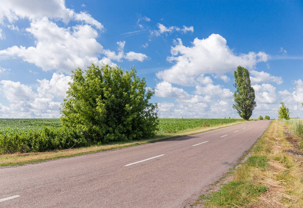 Yaz aylarında tarım arazileri arasında kırsal asfalt yol - Fotoğraf, Görsel