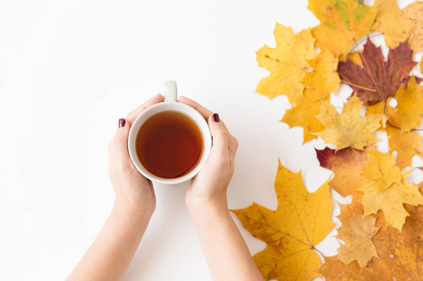 hands with cup of tea and autumn maple leaves - Valokuva, kuva