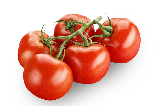 tomatoes on a branch isolated - Photo, Image