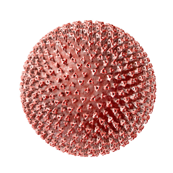 Mazelenvirus, oppervlaktestructuur - Foto, afbeelding