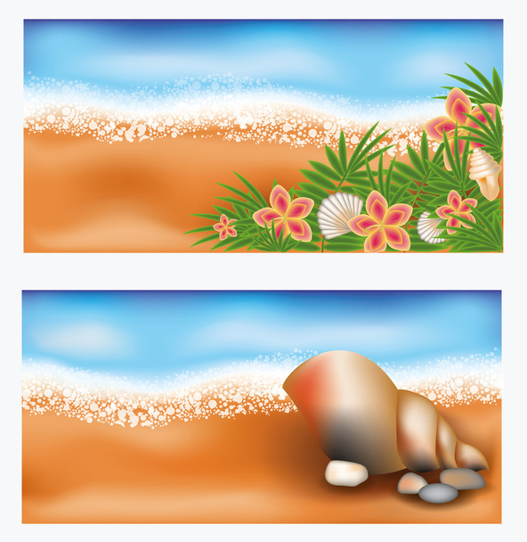 Летние тропические баннеры с цветами и раковиной, векторная иллюстрация
 - Вектор,изображение