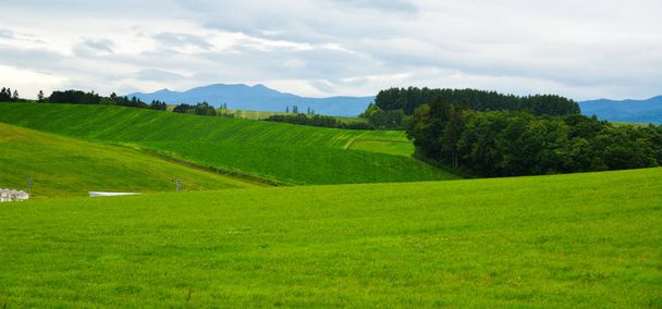Szép vidéki táj a nyári napszakban  - Fotó, kép