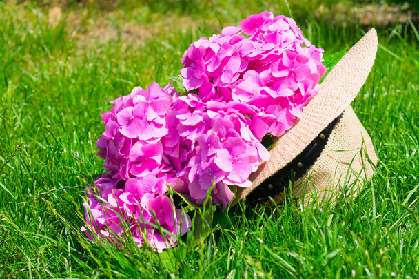 Roze hortensia in mantel van de zon op de achtergrond van groen gras. Concept van rust - Foto, afbeelding