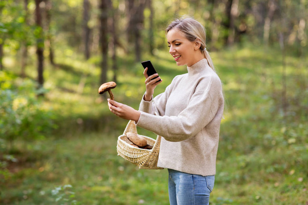 woman using smartphone to identify mushroom - Zdjęcie, obraz