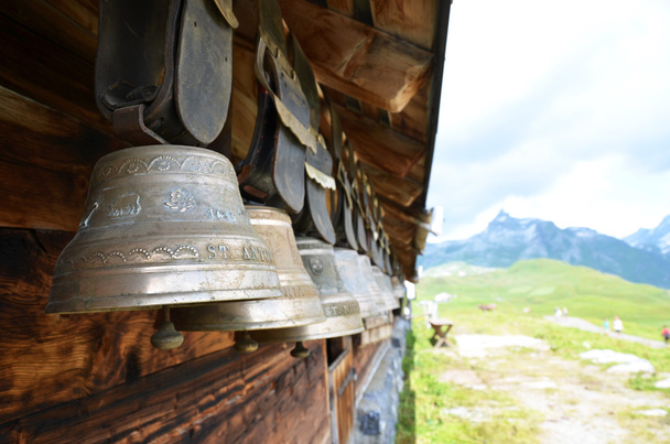5+ Thousand Cowbells Royalty-Free Images, Stock Photos & Pictures
