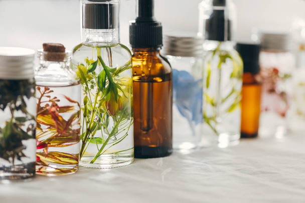 Botellas transparentes de aceite esencial con hierbas frescas
. - Foto, Imagen