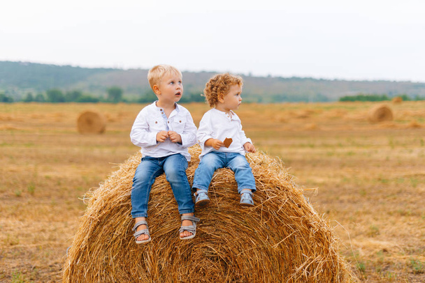 Zdjęcie dwóch małych chłopców, siedząc na okrągłym Bal pszenicy i patrząc z dala - Zdjęcie, obraz