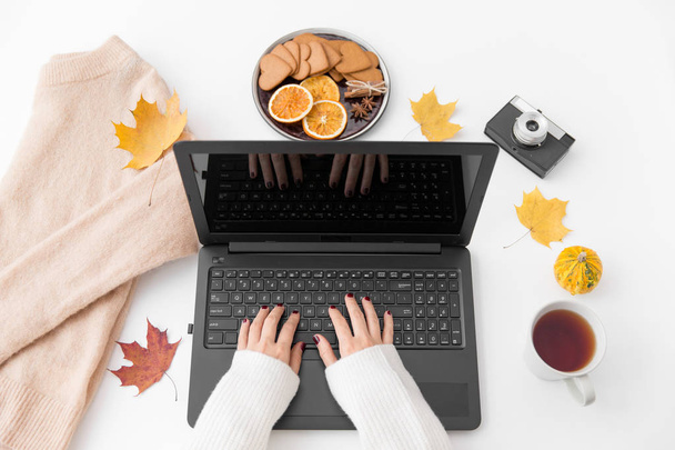 womans hands typing laptop, tea and autumn leaves - 写真・画像