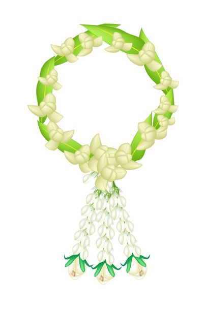ένα φρέσκο λευκό χρώμα του ylang ylang λουλούδια γιρλάντα - Διάνυσμα, εικόνα