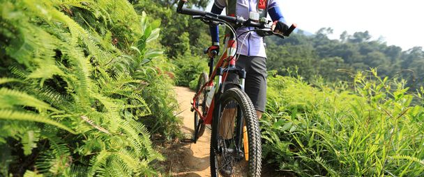 Vélo de fond femme cycliste avec VTT sur piste de forêt tropicale
 - Photo, image