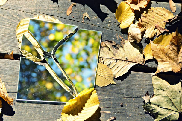 Zrcadlové střepy leží mezi pestrým podzimním listím a odrážejí oblohu i části listoví-koncepce s zrcátky a podzimním listím - Fotografie, Obrázek