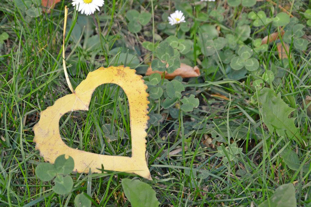 Een gele herfst blad in hart vorm ligt op een ijzeren stap stap als de zon schijnt op het blad-concept voor de liefde naar de herfst en de kleurrijke kleuren van dit seizoen  - Foto, afbeelding