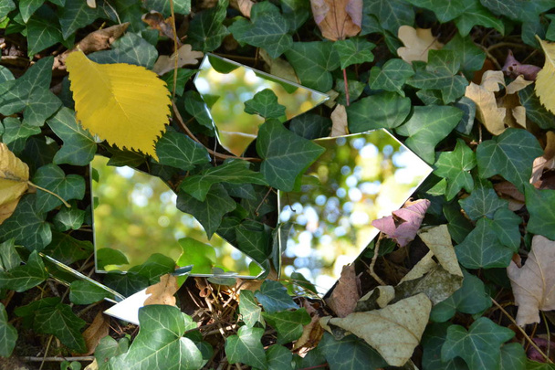 Frammenti di specchio si trovano tra foglie autunnali colorate e riflettono il cielo così come parti del fogliame concetto con specchi e foglie autunnali
 - Foto, immagini