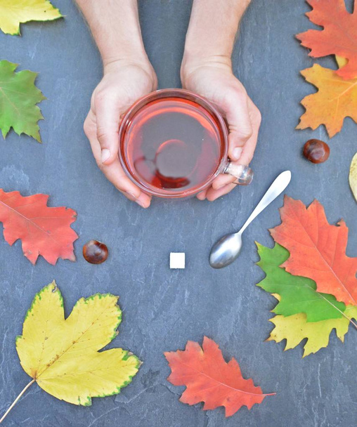 Крупним планом чоловіча рука перемішує склянку чаю з ложкою в осінній обстановці з каштанами і барвистим осіннім листям концепція розігрівання в прохолодну осінь з чаєм
 - Фото, зображення