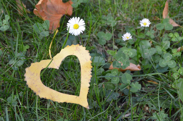 ein gelbes Herbstblatt in Herzform liegt auf einer eisernen Treppe, während die Sonne auf das Blatt scheint - Konzept für die Liebe zum Herbst und die bunten Farben dieser Jahreszeit  - Foto, Bild