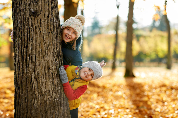 happy children peeking out tree at autumn park - Fotó, kép