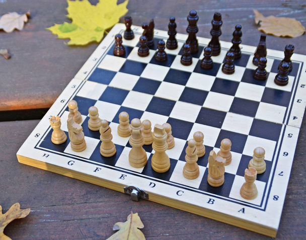 A chessboard with chess pieces is standing on a wooden table in the autumn forest with colorful autumn leaves next to it - two chess pieces face each other and cause a fight with the respective teams - Photo, Image