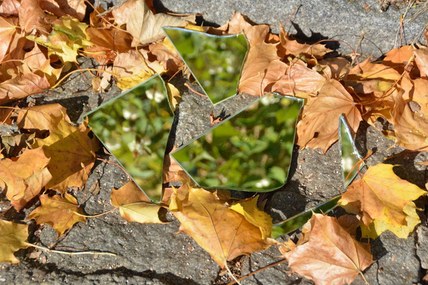 Los fragmentos de espejo se encuentran entre hojas coloridas de otoño y reflejan el cielo, así como partes del follaje - concepto con espejos y hojas de otoño
  - Foto, Imagen