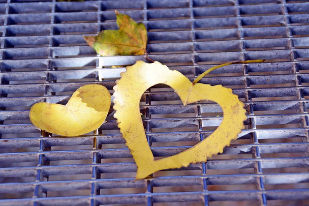 Une feuille d'automne jaune en forme de cœur se trouve sur une étape de fer comme le soleil brille sur la feuille concept pour l'amour de l'automne et les couleurs colorées de cette saison
  - Photo, image