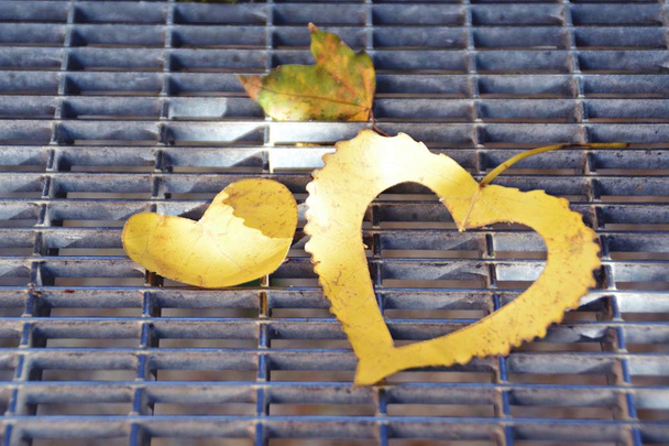Uma folha amarela do outono na forma do coração encontra-se em um passo de ferro enquanto o sol brilha na folha conceito para o amor ao outono e as cores coloridas desta estação
  - Foto, Imagem
