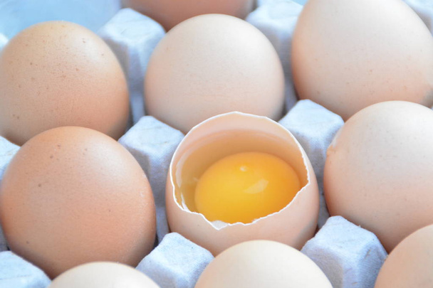 三十代のハニカム卵は、いくつかの卵を産み、1つは開いて、卵黄が見える - 1つの卵は壊れているので、箱の残りの部分とは異なる - 卵と個々の食事の概念 - 写真・画像