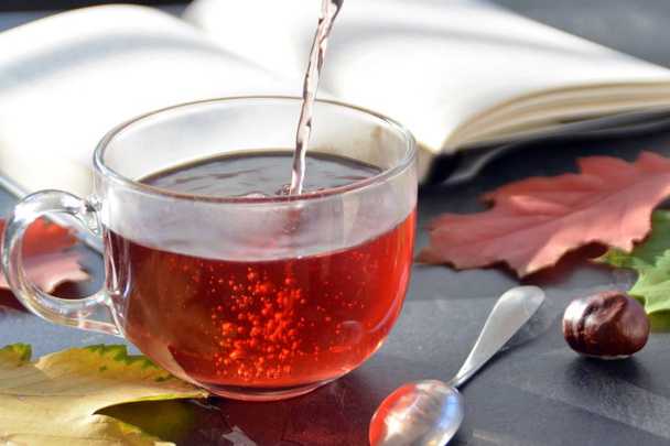 Pouring tea in a glass in front of an autumnal setting with chestnuts, colorful autumn leaves and a book - drinking tea to warm up on cold winter days symbolized by a glass of tea in autumn setting - Photo, Image