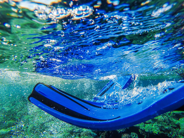 piernas de nadador en aletas bajo el agua, primer plano
 - Foto, Imagen
