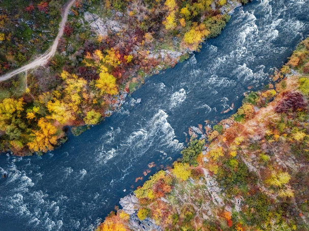 aerial drone view of colorful forest, blue river and rocks. beau - Photo, Image