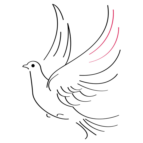 Dove sketch - Vector, Image