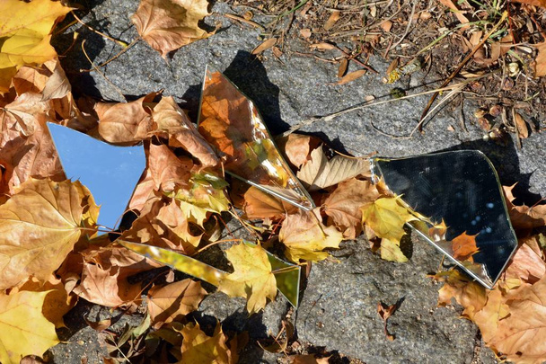 Zrcadlové střepy leží mezi pestrým podzimním listím a odrážejí oblohu i části listoví-koncepce s zrcátky a podzimním listím  - Fotografie, Obrázek