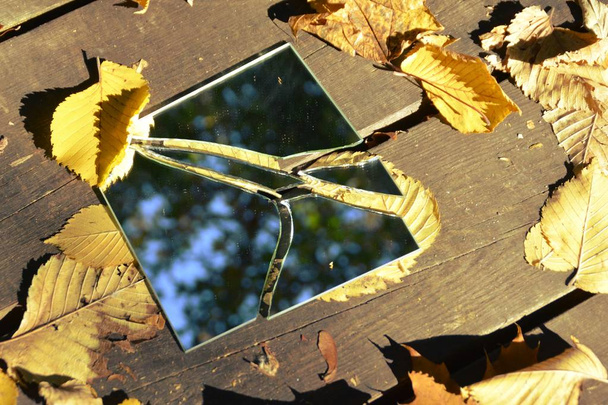 Los fragmentos de espejo se encuentran entre hojas coloridas de otoño y reflejan el cielo, así como partes del follaje - concepto con espejos y hojas de otoño
 - Foto, Imagen
