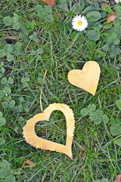 Žlutý podzimní list ve tvaru srdce leží na železném kroku, když slunce svítí na listové koncepci lásky k podzimní a barvité barvy této sezóny  - Fotografie, Obrázek