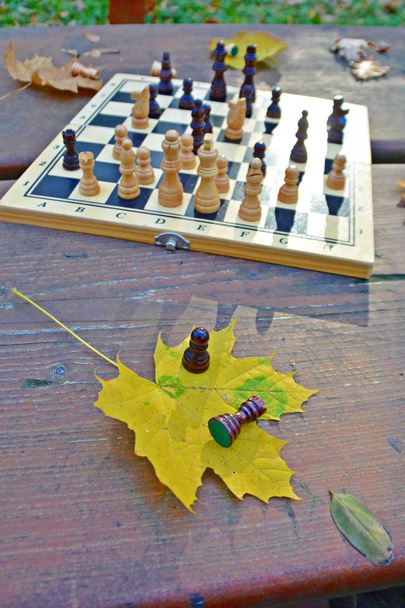 Шахова дошка з шаховими фігурами стоїть на дерев'яному столі в осінньому лісі з барвистим осіннім листям поруч - літній осінній день з низьким сонцем і шаховими фігурами, що відливають тіні
 - Фото, зображення