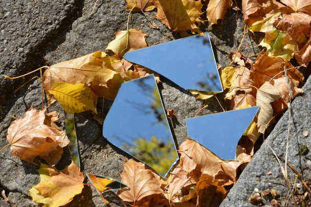 Zrcadlové střepy leží mezi pestrým podzimním listím a odrážejí oblohu i části listoví-koncepce s zrcátky a podzimním listím  - Fotografie, Obrázek