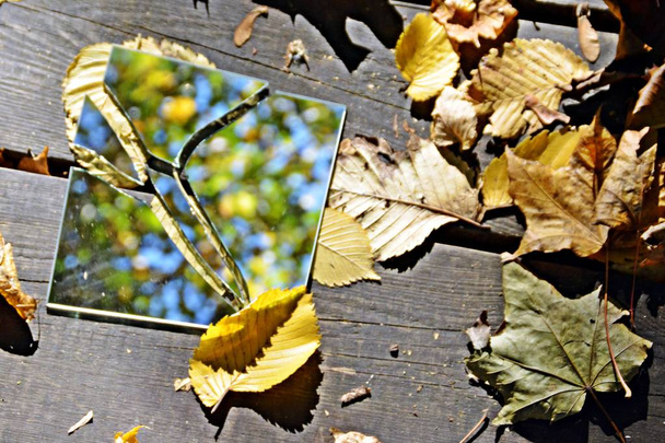 Los fragmentos de espejo se encuentran entre hojas coloridas de otoño y reflejan el cielo, así como partes del follaje - concepto con espejos y hojas de otoño
 - Foto, Imagen