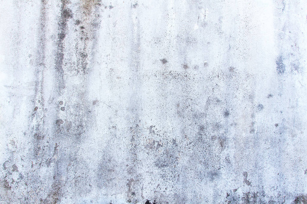壁に成長するカビ菌ブラックスポットのクローズアップテクスチャw - 写真・画像