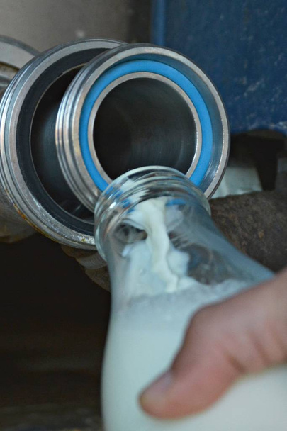 immagine ritagliata dell'uomo versando il latte nel vetro
 - Foto, immagini